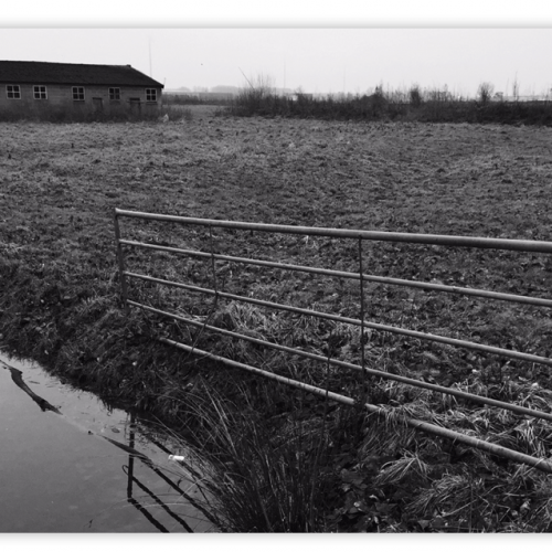 writing - postcard1 - photo: wendy lambers